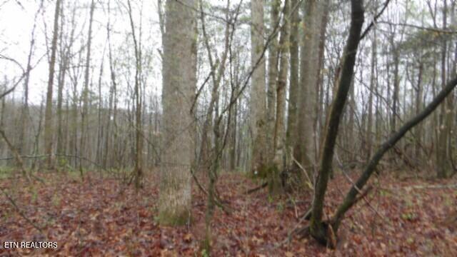 20.27-ac Denton Road Moss, TN 38575 - Photo 55 of 59 100_0065