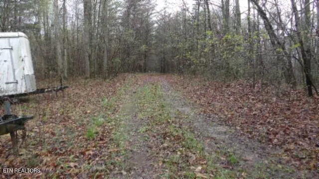 $119,000 | 20.27-ac Denton Road, Moss, TN 38575