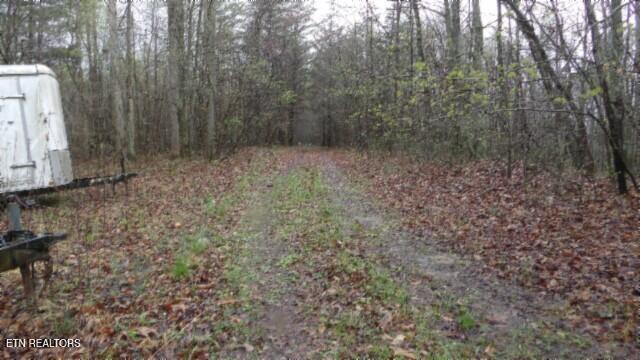 20.27-ac Denton Road Moss, TN 38575 - Photo 57 of 59 100_0067