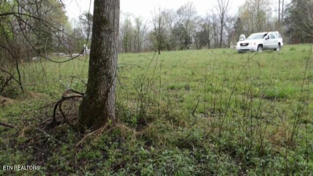20.27-ac Denton Road Moss, TN 38575 - Photo 7 of 59 100_0013