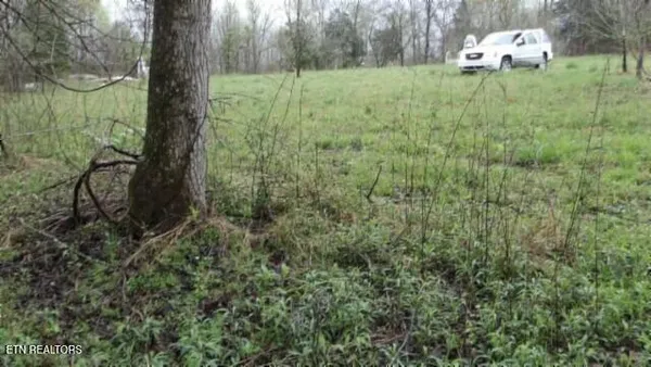 $119,000 | 20.27-ac Denton Road, Moss, TN 38575