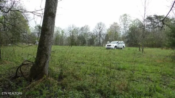 $119,000 | 20.27-ac Denton Road, Moss, TN 38575