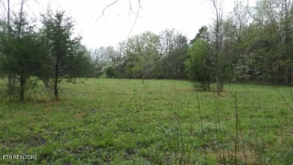 $119,000 | 20.27-ac Denton Road, Moss, TN 38575