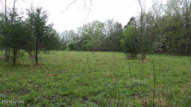 20.27-ac Denton Road Moss, TN 38575 - Photo 10 of 59 100_0016