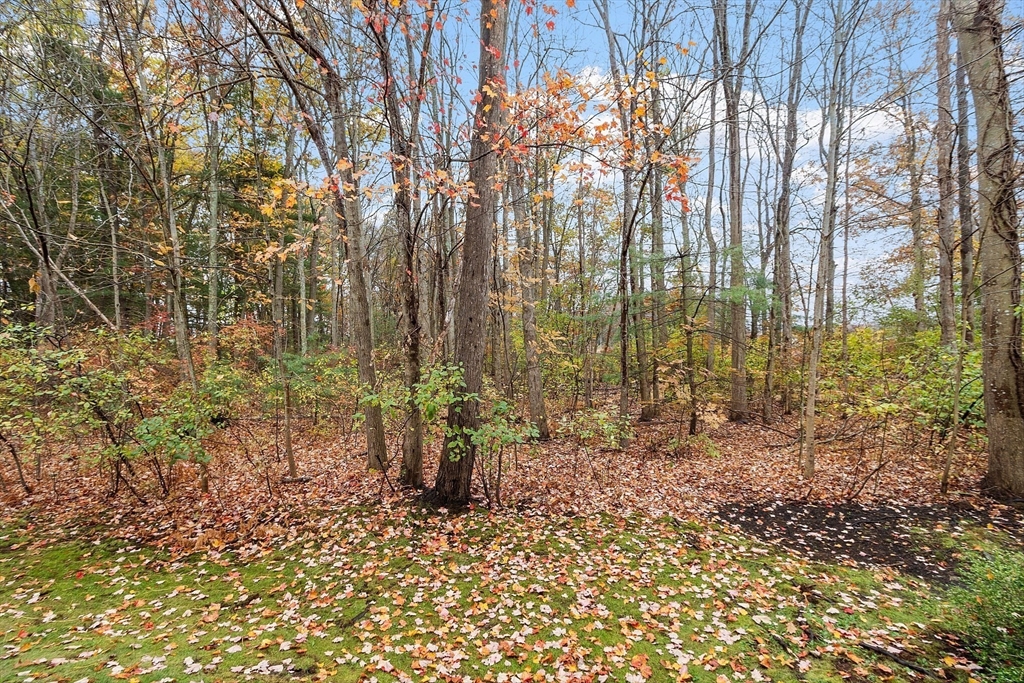 28 Partridge Lane, Unit 28 Lynnfield, MA 01940 - Photo 37 of 41 a view of outdoor space with lots of trees
