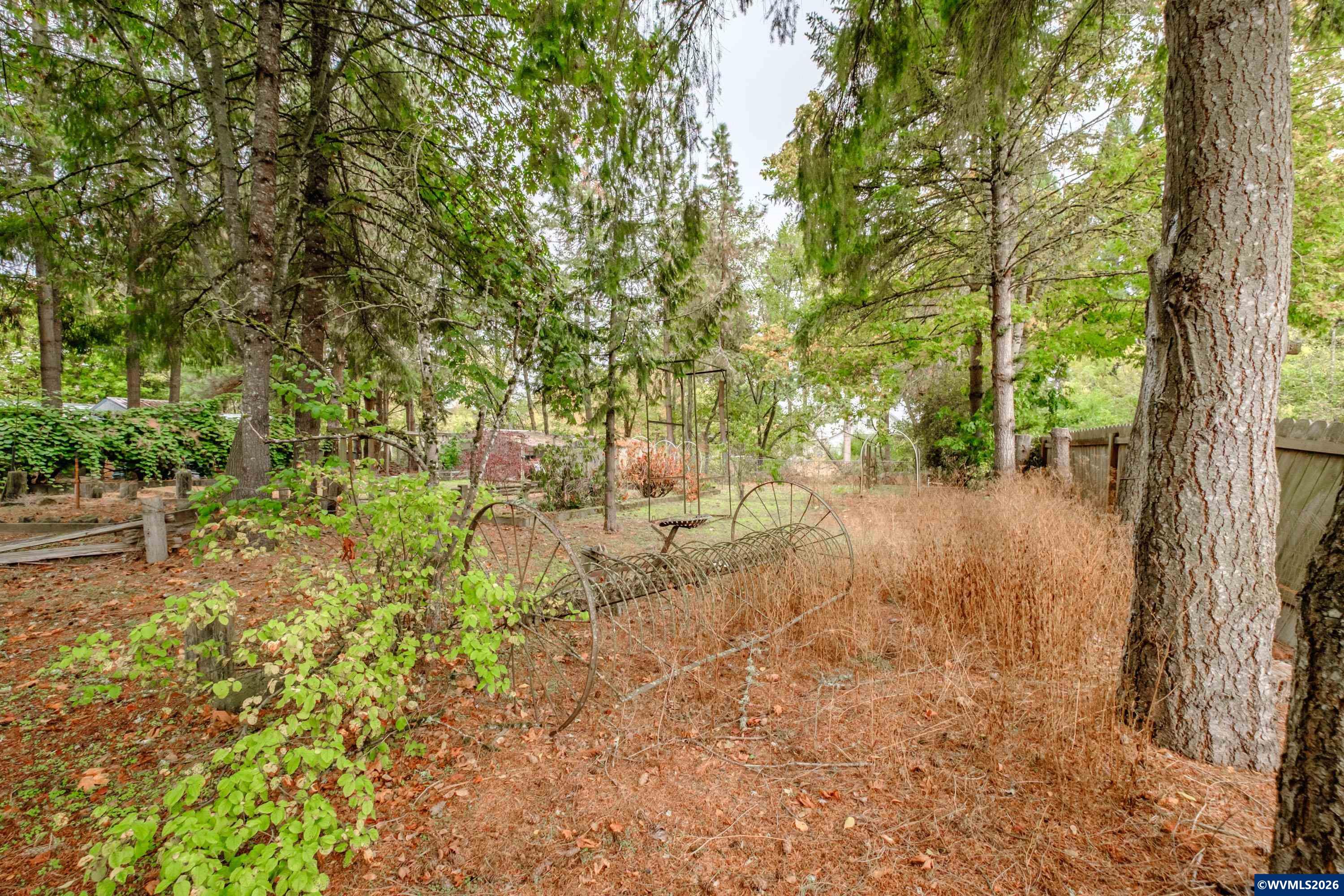 Lot 030100 Southwest Beech Street Scio, OR 97374 - Photo 38 of 41