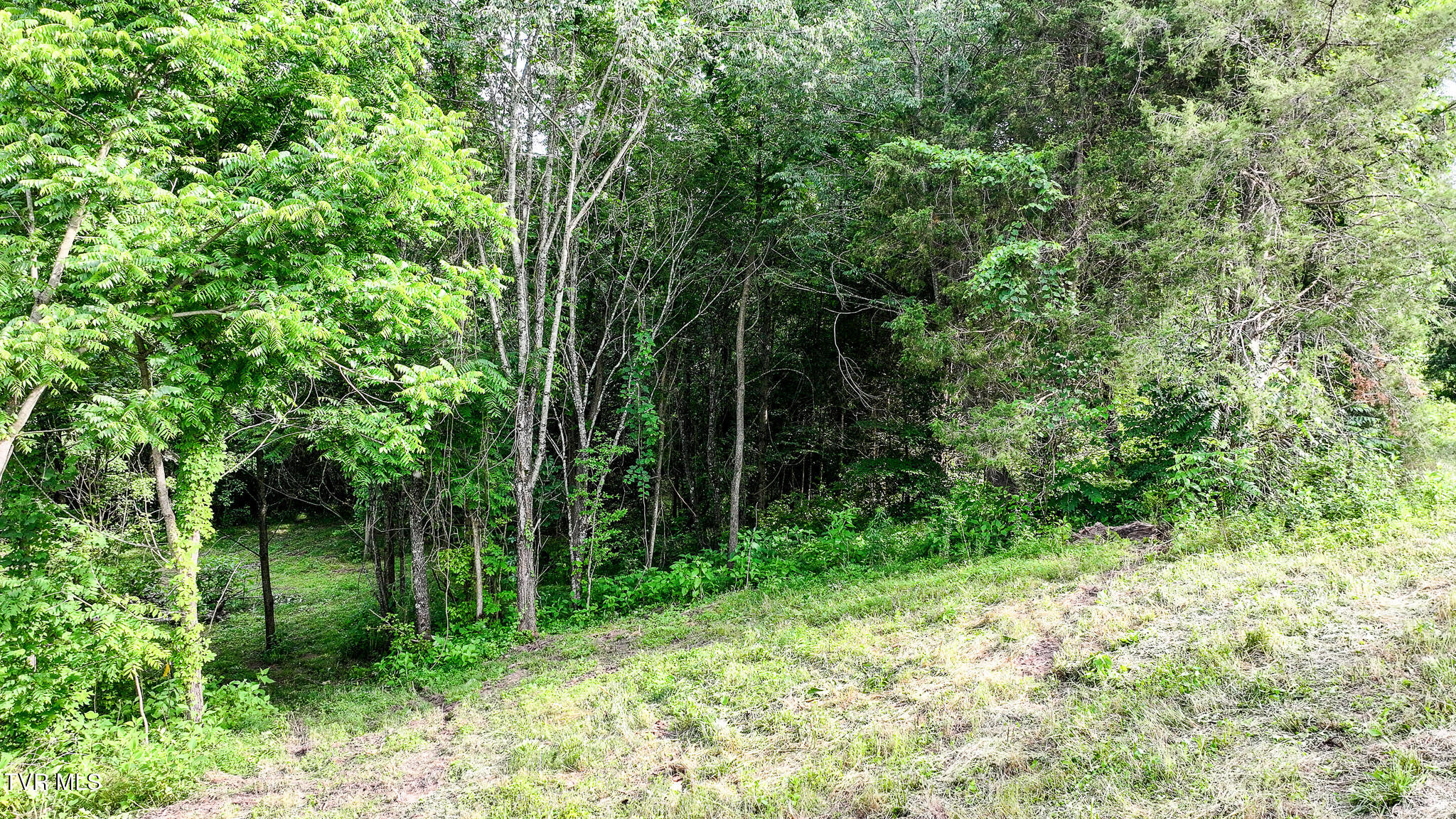 Tbd Middle Creek Road, Unit 21 Afton, TN 37616 - Photo 4 of 16 DJI_20260603024910_0566_D-Edit