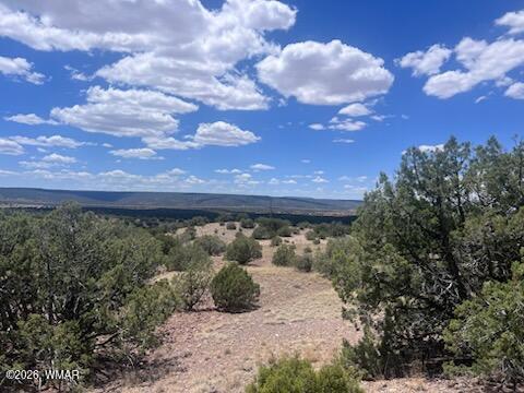 41 Indian Drive Concho, AZ 85924 - Photo 7 of 26 Wide Open Spaces