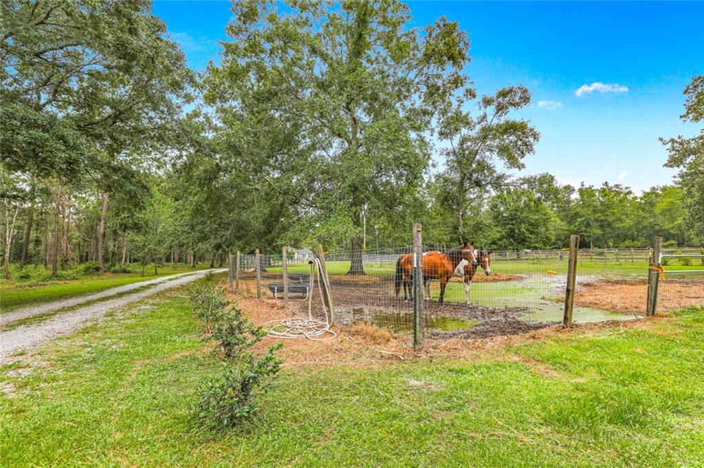 61900 Shady Pine Road Lacombe, LA 70445 - Photo 14 of 22 Gallery Image 14