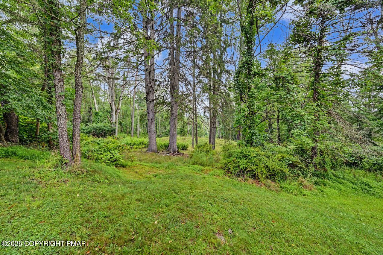 239 Meadowside Road Mount Pocono, PA 18344 - Photo 75 of 75 239 Meadowside Rd Photo 95 Large