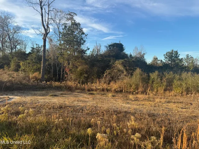 $130,000 | 13-acres 13-acres Parker Road, McHenry, MS 39561