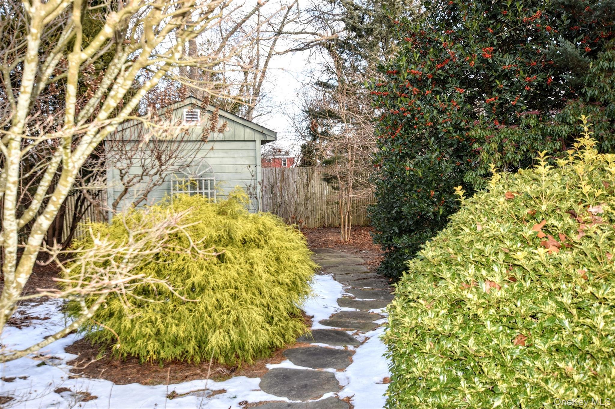 41 Country Club Road Bellport, NY 11713 - Photo 4 of 18 View of yard