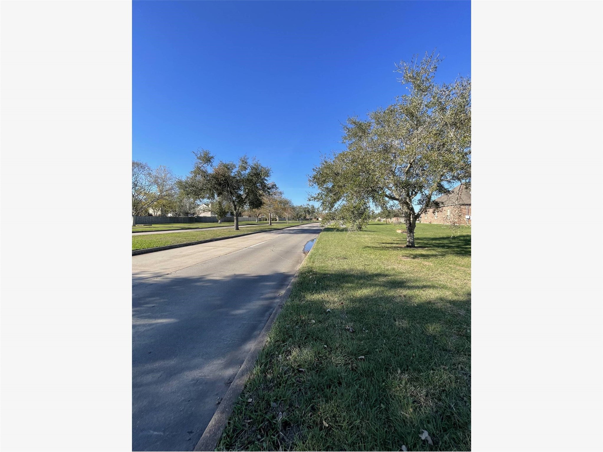 0 Lake Road Lake Jackson, TX 77566 - Photo 10 of 23 a view of a yard with an trees