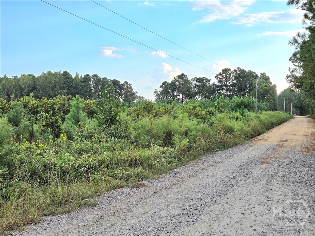 0 G W Oliver Road Statesboro, GA 30458 - Photo 1 of 13
