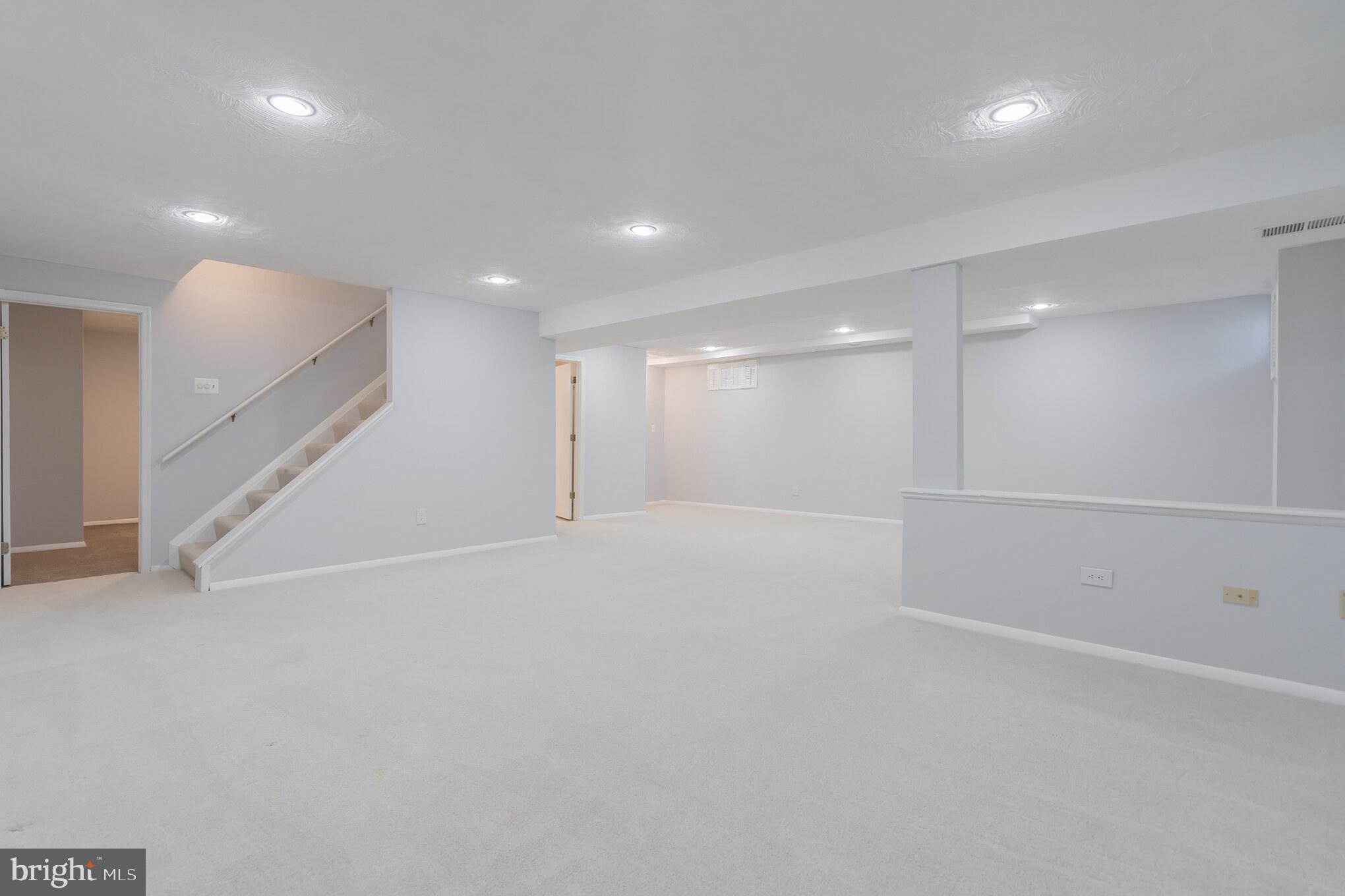 910 Riva Ridge Drive Great Falls, VA 22066 - Photo 22 of 49 Fully-Finished Lower-Level... So Much Space!