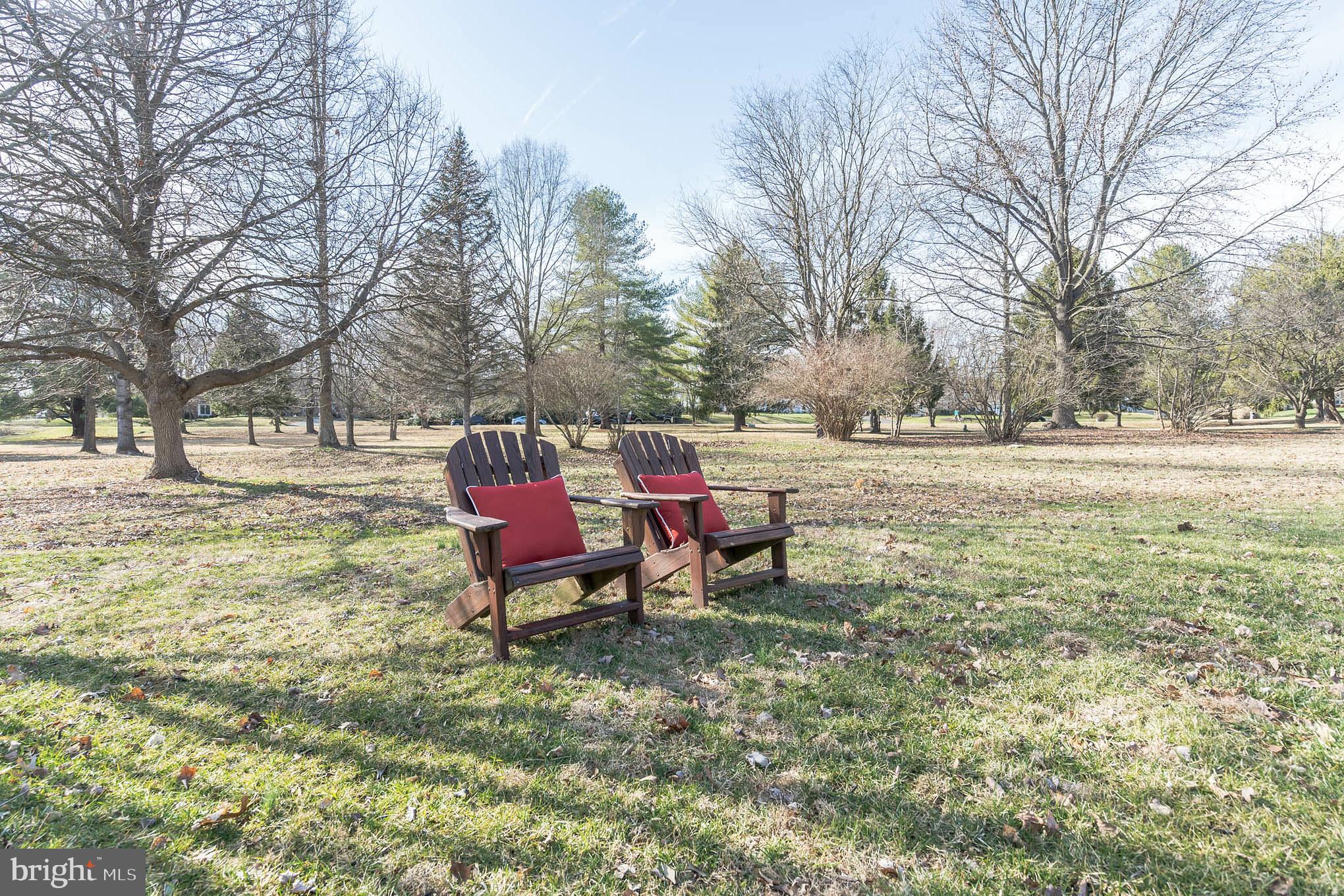 910 Riva Ridge Drive Great Falls, VA 22066 - Photo 32 of 49 Backing to Acres of Idyllic, Open Common Space