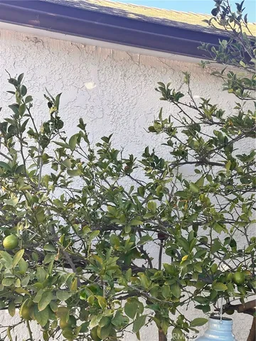 a view of backyard with a table and chairs under an umbrella