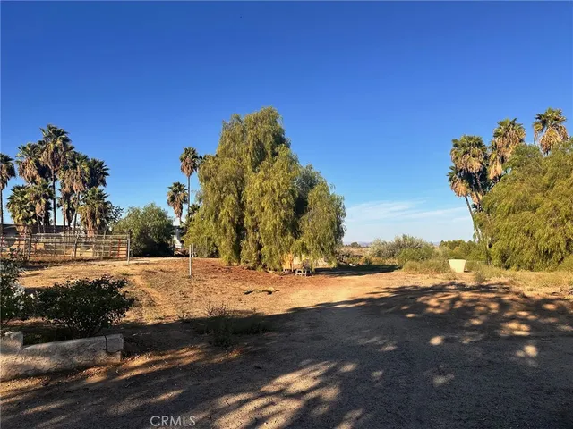 a view of covered with green space