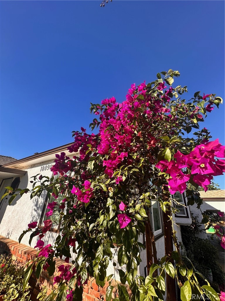 18090 Iris Avenue Riverside, CA 92508 - Photo 37 of 49