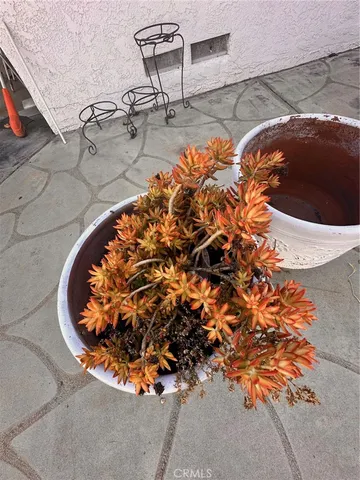 a view of a lake with lawn chairs and wooden fence