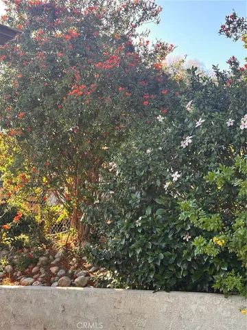 a view of an outdoor space