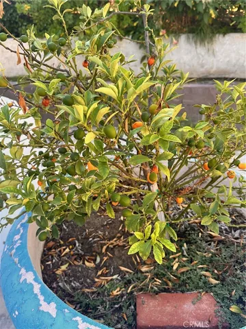 a view of mountain view with lake view