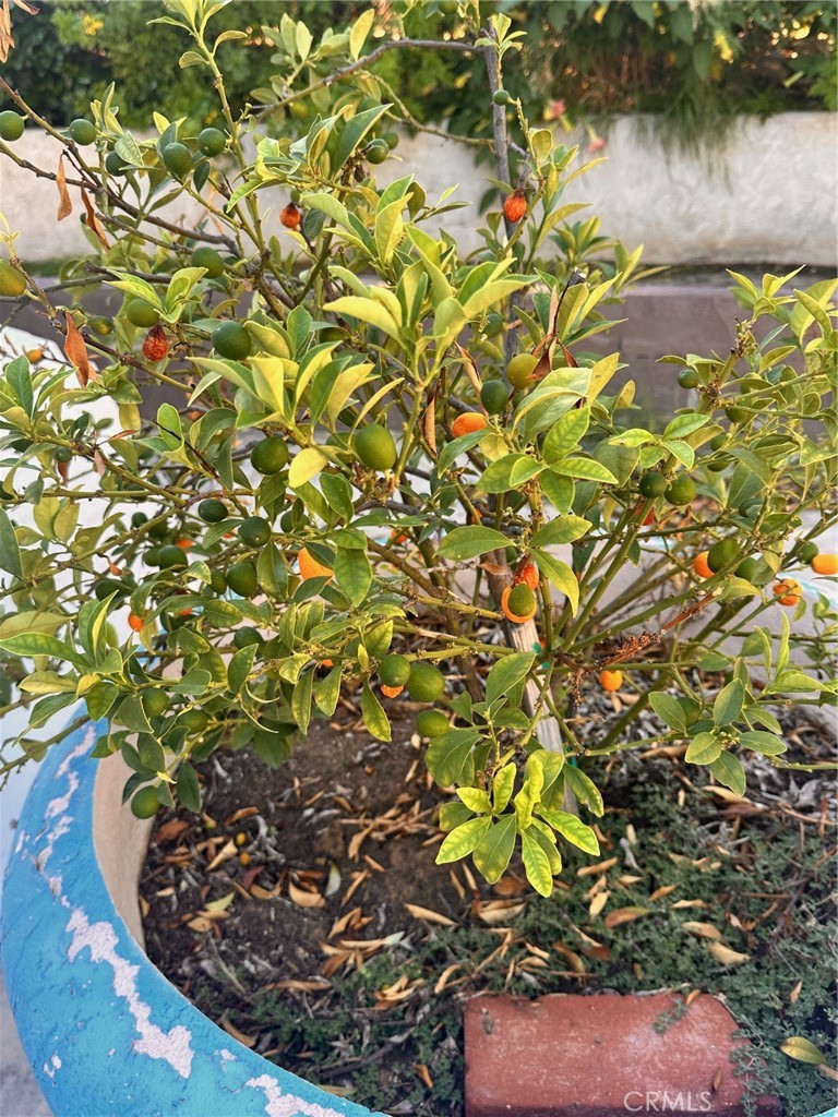 18090 Iris Avenue Riverside, CA 92508 - Photo 42 of 49 a view of a lake