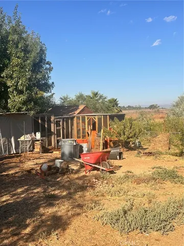 a view of a yard with a large trees