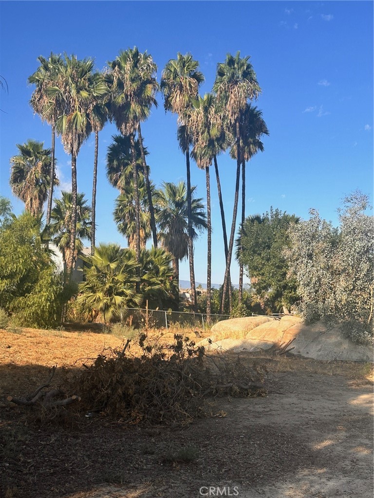 18090 Iris Avenue Riverside, CA 92508 - Photo 44 of 49 a view of a yard with large trees