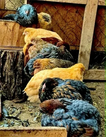 $719,000 | 18090 Iris Avenue, Riverside, CA 92508