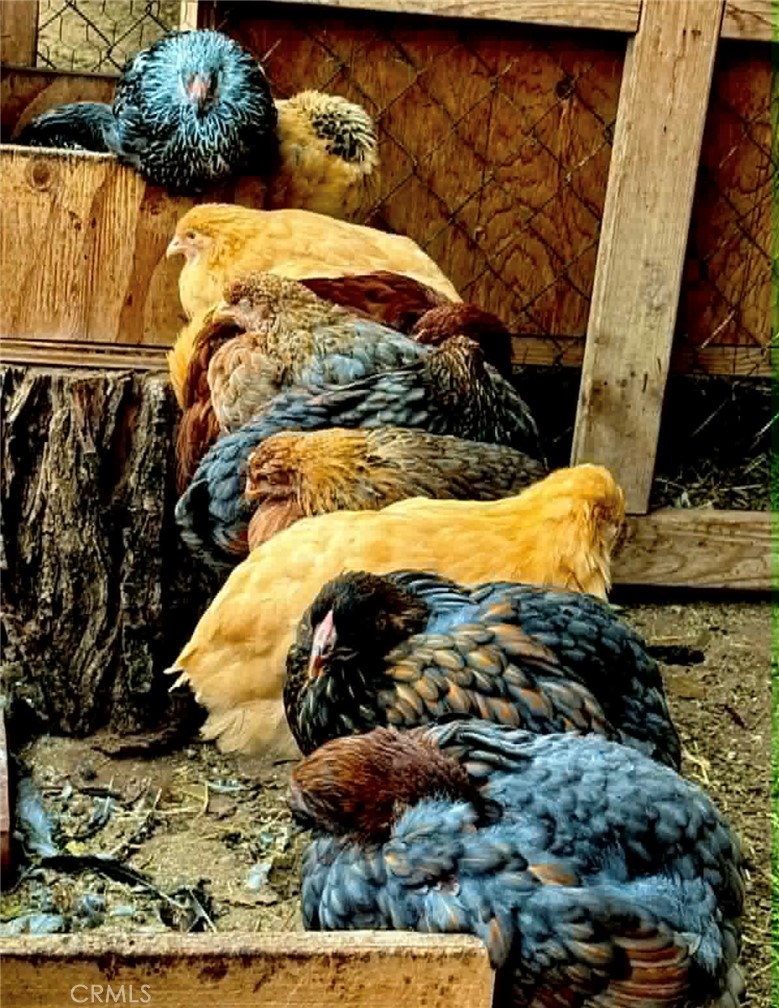 18090 Iris Avenue Riverside, CA 92508 - Photo 45 of 49 a view of an outdoor space