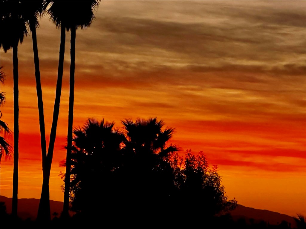 18090 Iris Avenue Riverside, CA 92508 - Photo 47 of 49