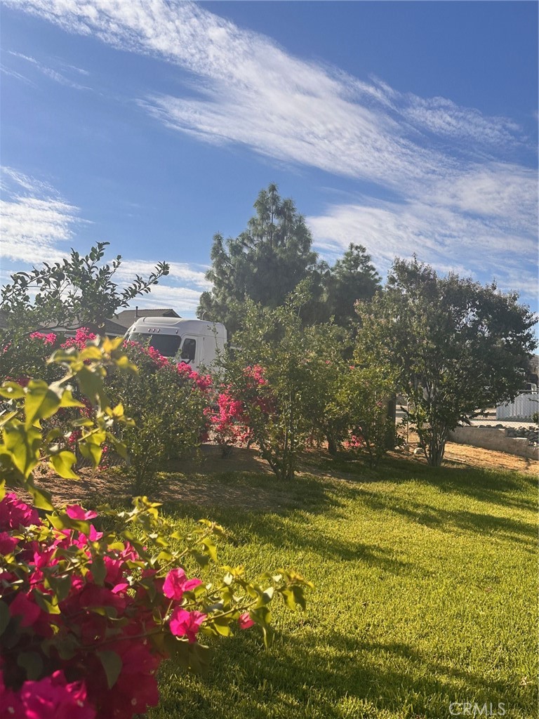 18090 Iris Avenue Riverside, CA 92508 - Photo 7 of 49 a view of a flower in a yard