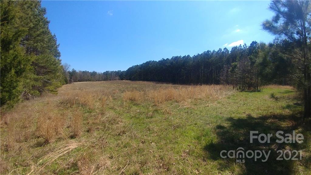266 Harris Cemetery Road Candor, NC 27229 - Photo 3 of 8 Gallery Image 3