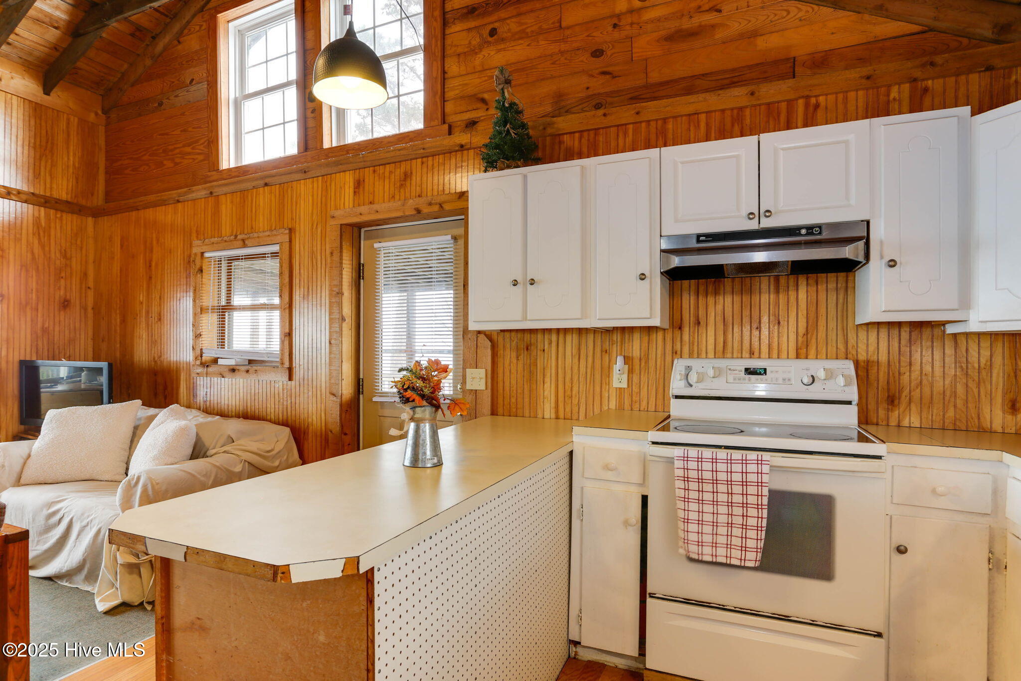 342 Cahoon Road Manns Harbor, NC 27953 - Photo 12 of 42 Kitchen and Living Area