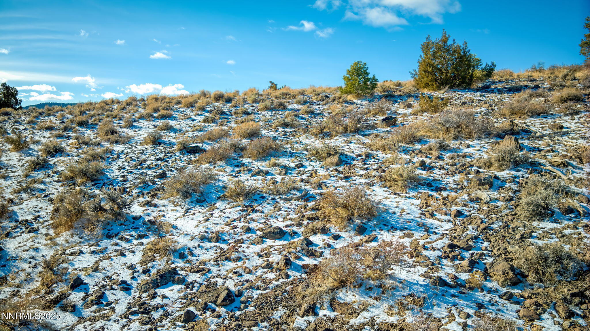 2480 Lousetown Road Reno, NV 89521 - Photo 21 of 24 20-DJI_0987-Edited