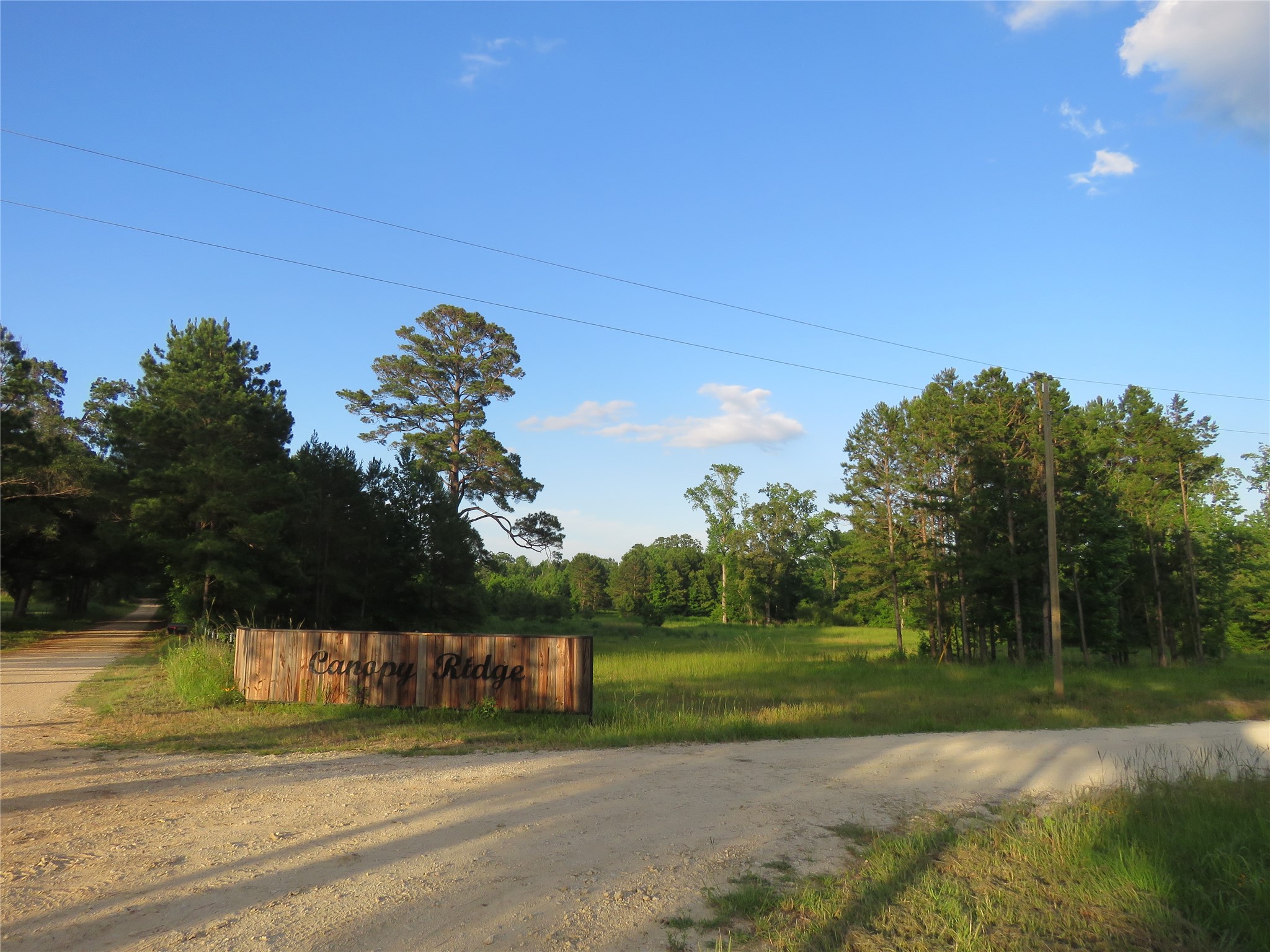 Tbd Tbd Canopy Ridge Trail Crockett, TX 75835 - Photo 2 of 15 Established community presence — the Canopy Ridge entrance sits on Tract 10's frontage
