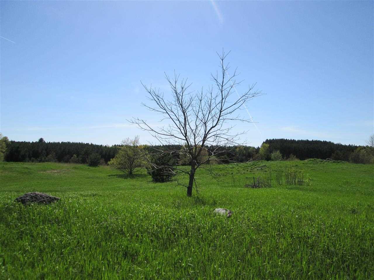 1300 Tyler Road Southeast Kalkaska, MI 49646 - Photo 22 of 63 1785022-21.JPG