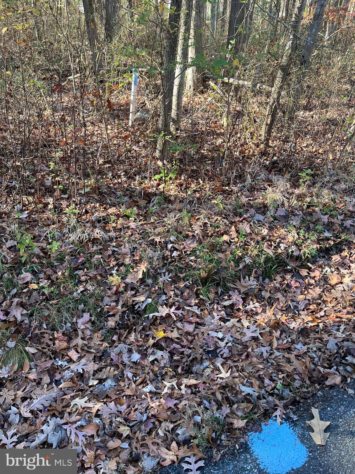 Shaffer Road Essex, MD 21221 - Photo 1 of 1