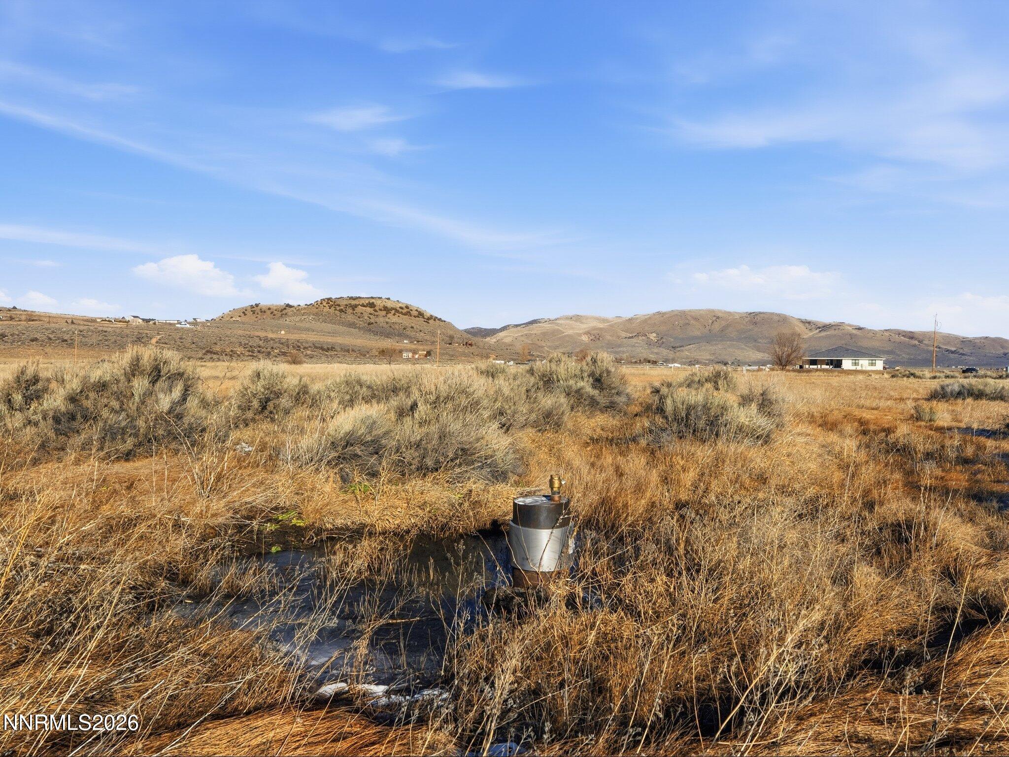 105 Cowhide Circle Reno, NV 89508 - Photo 5 of 18 Well 1