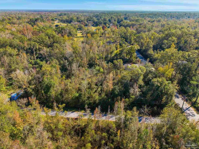 a view of a forest with a lake