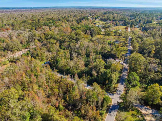 a view of a forest with a houses
