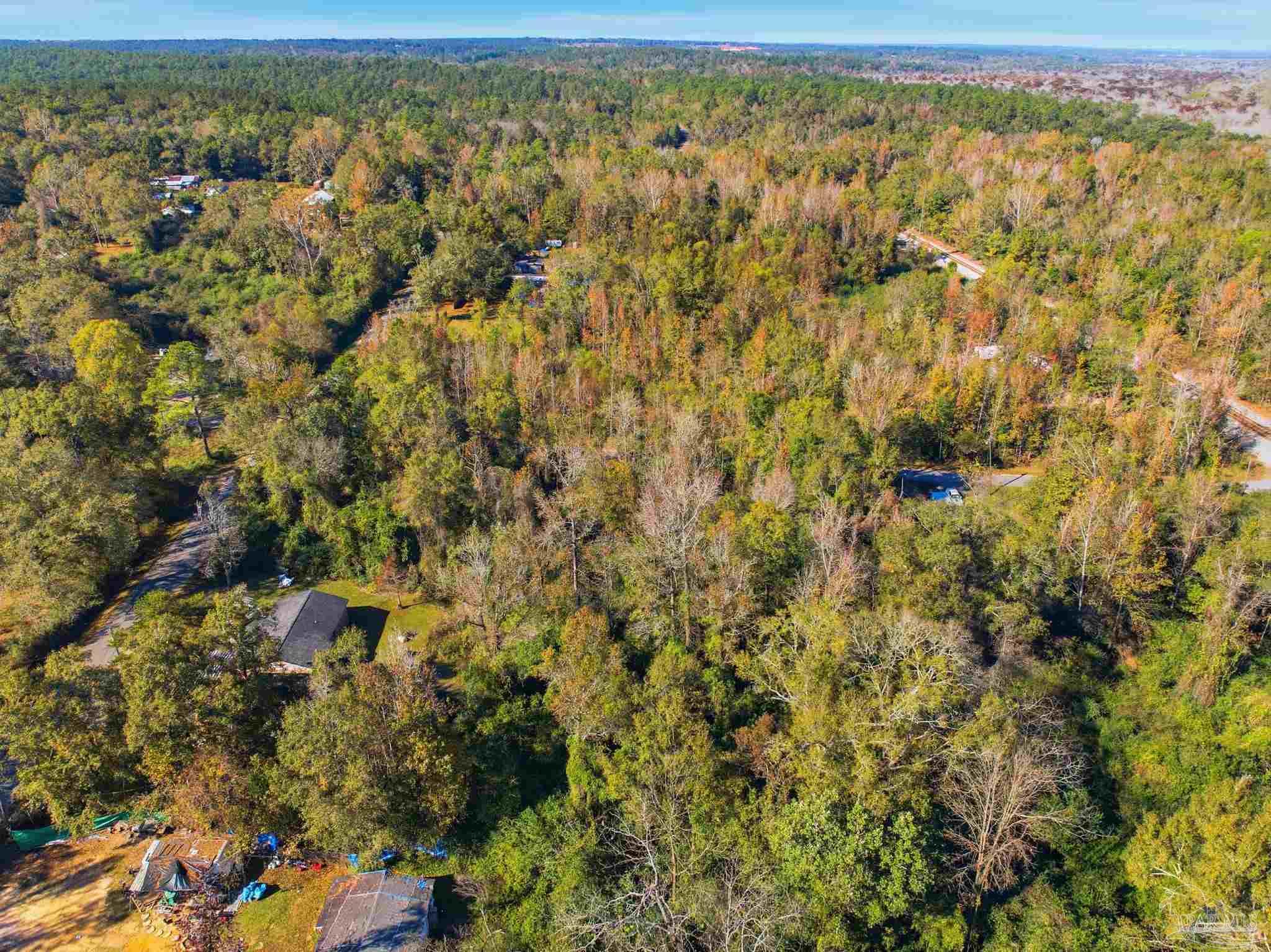 1100 McKinnonville Road Molino, FL 32577 - Photo 7 of 13