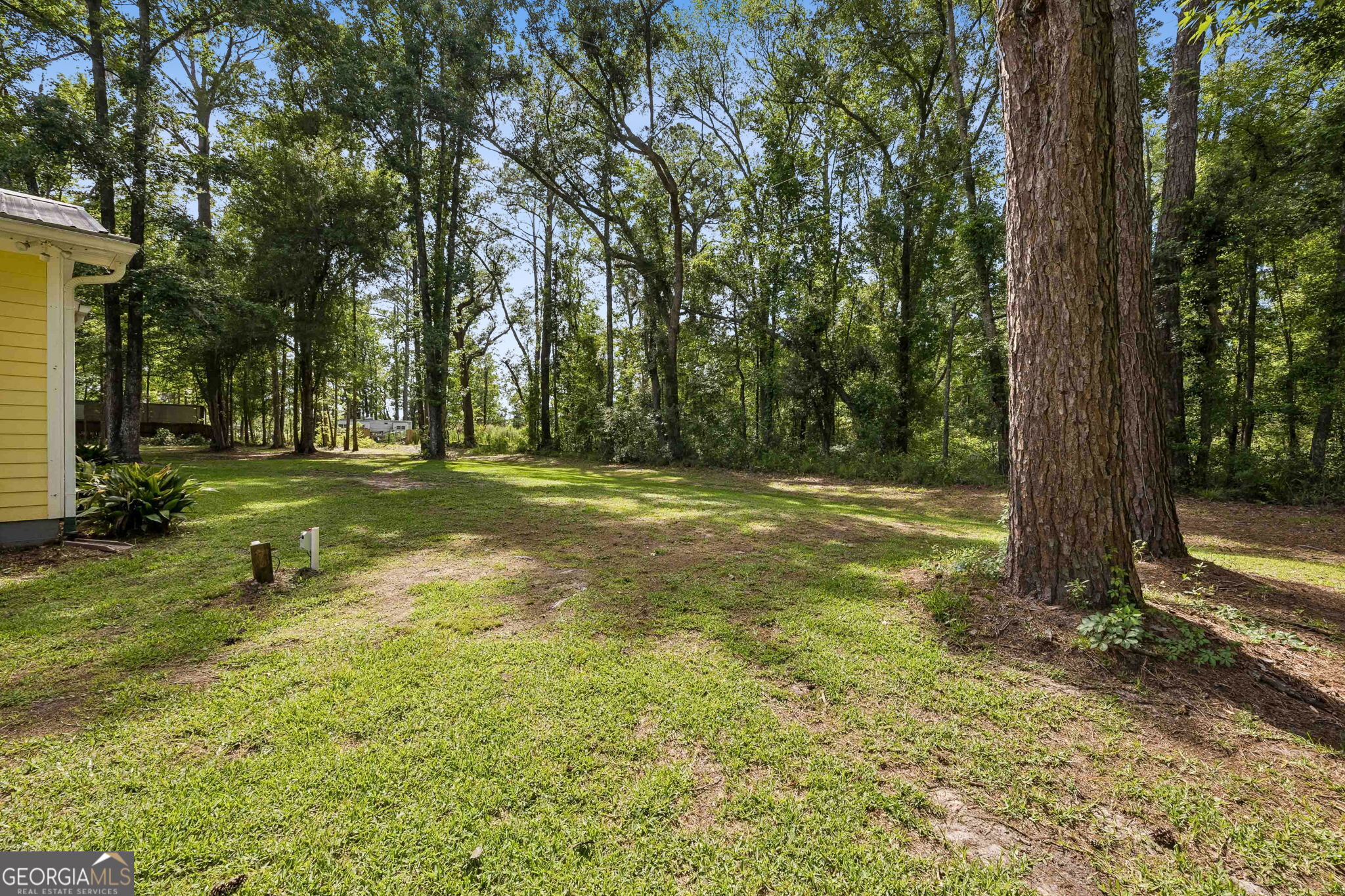 706 Hopewell Point Road White Oak, GA 31568 - Photo 73 of 84 Towering pines and established hardwoods provide shade, character, and a tranquil backdrop across the property's generous grounds.