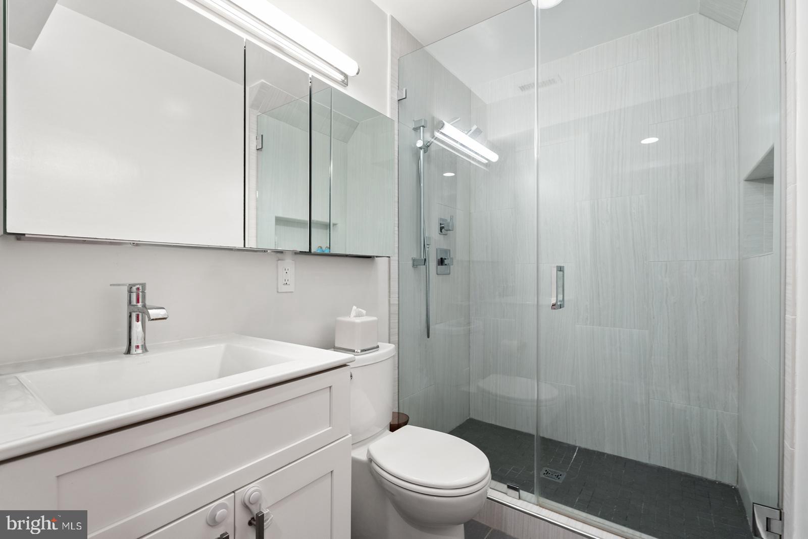 1710 Summit Place Northwest, Unit 1710 Washington, DC 20009 - Photo 19 of 35 a bathroom with a sink a toilet and shower