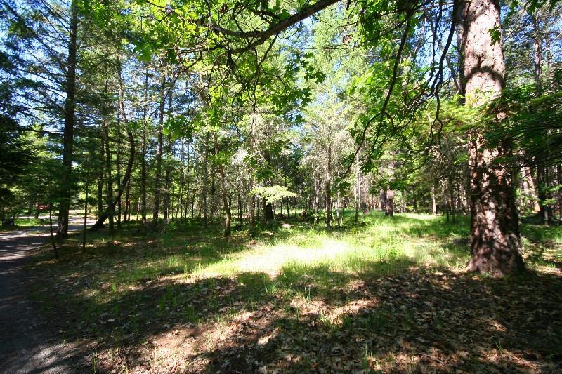 16015 Water Gap Road Williams, OR 97544 - Photo 16 of 20 Additional Photo