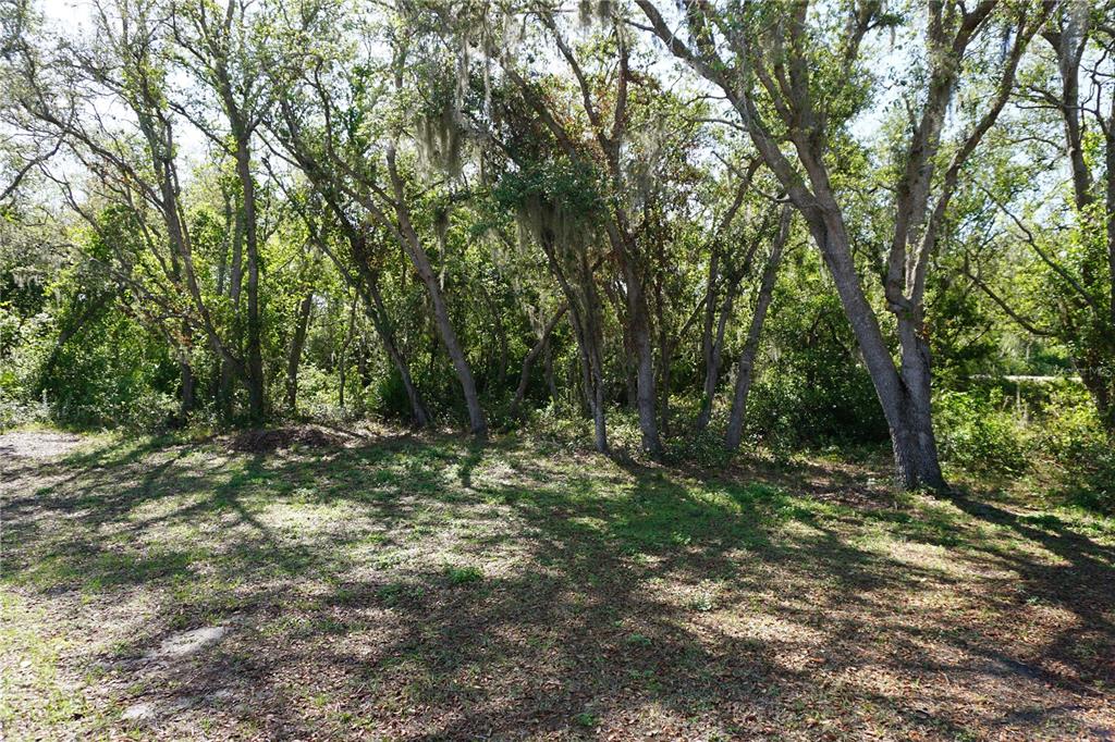 29211 Picador Street Punta Gorda, FL 33982 - Photo 65 of 87