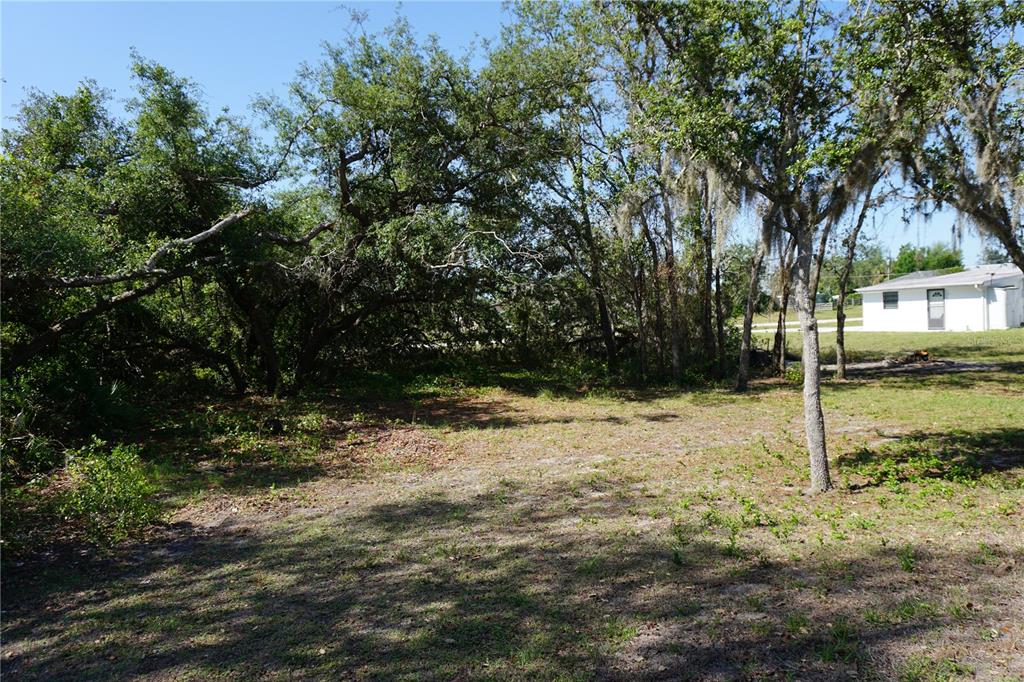 29211 Picador Street Punta Gorda, FL 33982 - Photo 67 of 87