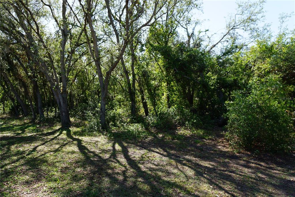 29211 Picador Street Punta Gorda, FL 33982 - Photo 68 of 87