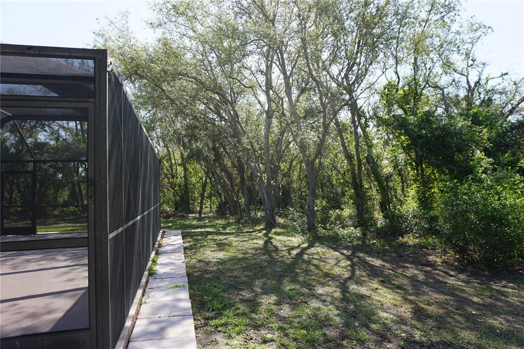 29211 Picador Street Punta Gorda, FL 33982 - Photo 69 of 87